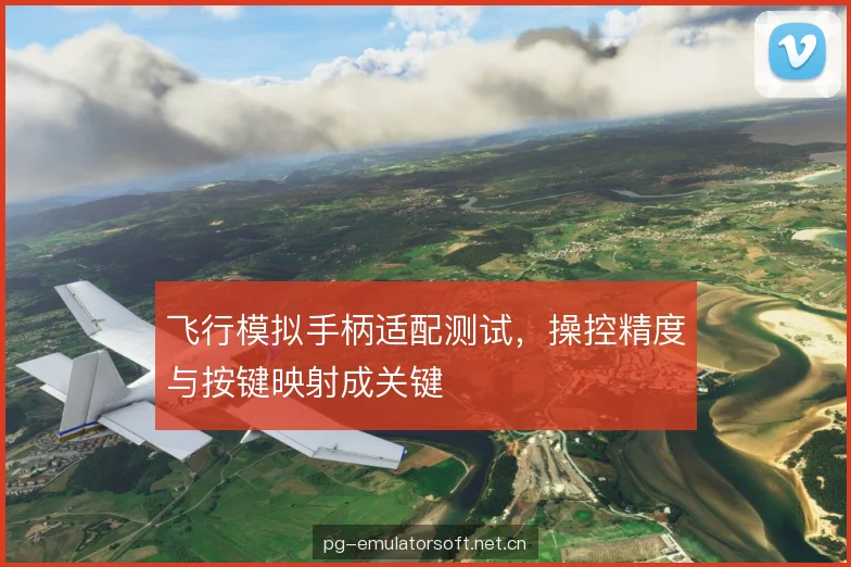 飞行模拟手柄适配测试，操控精度与按键映射成关键